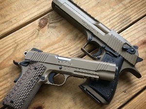 New & Preowned Firearms