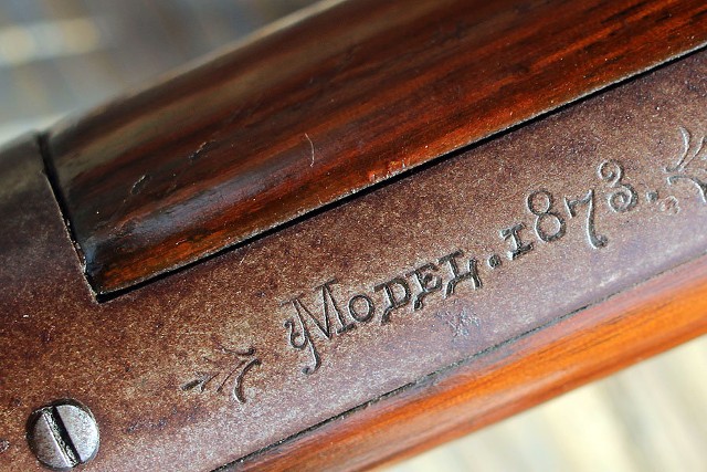 Model 1873